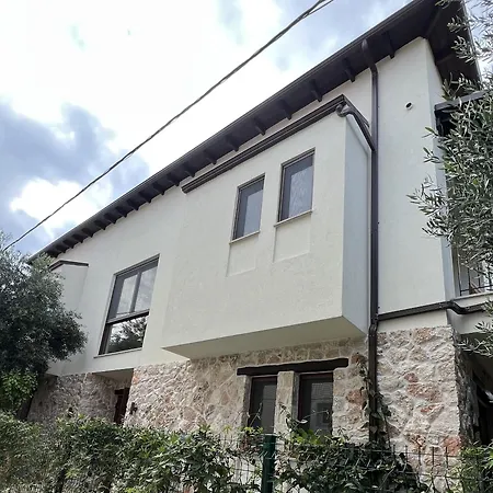 Maison - Elea Daire *