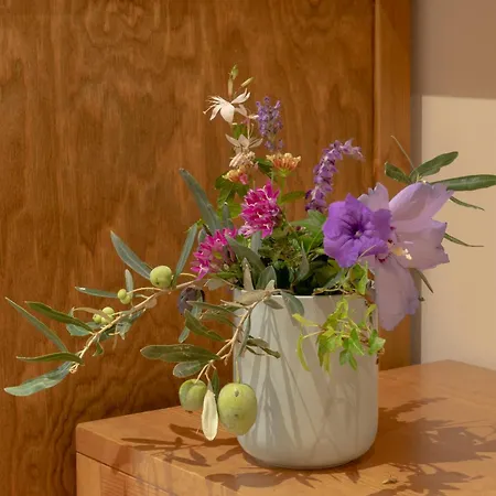 Maison - Elea * Ierissos