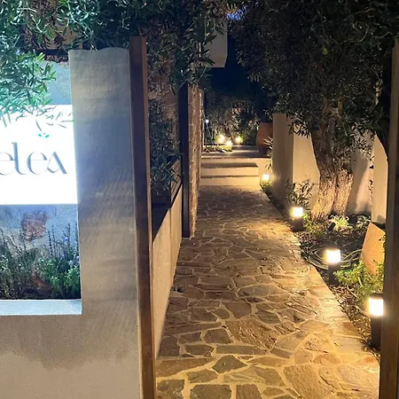 Apartament Maison - Elea